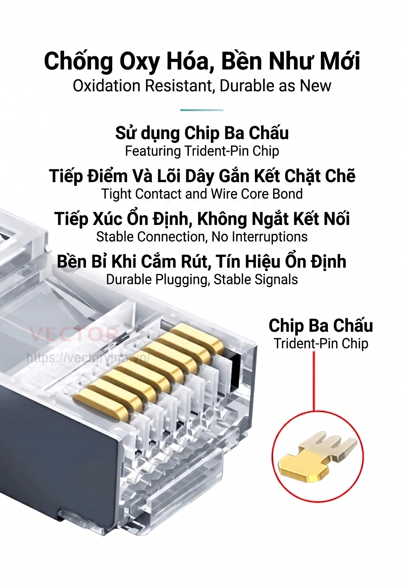 Đa dạng kích thước cáp mạng